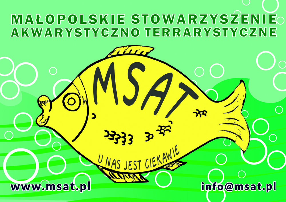 logo msat.jpg