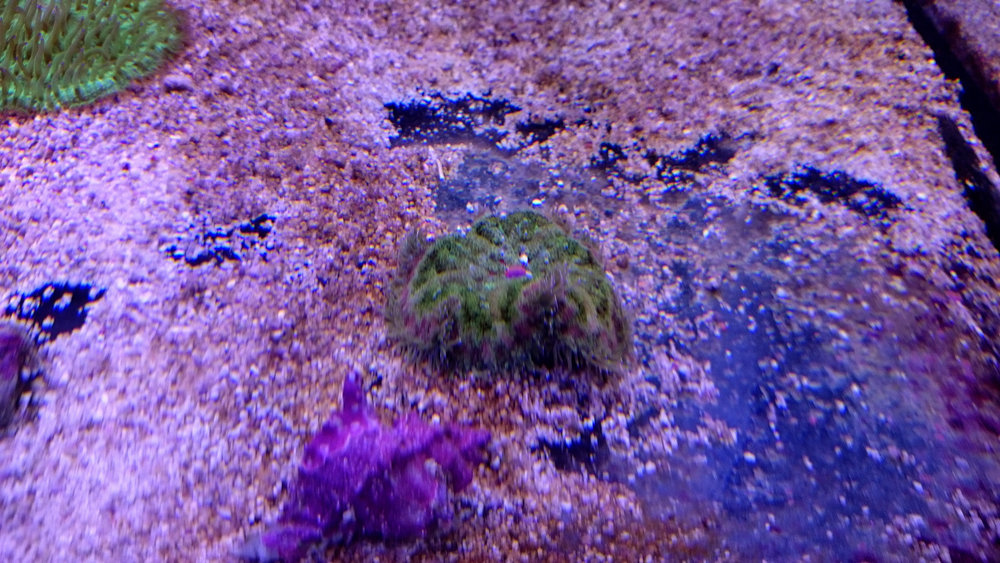 DSC_1023.JPG