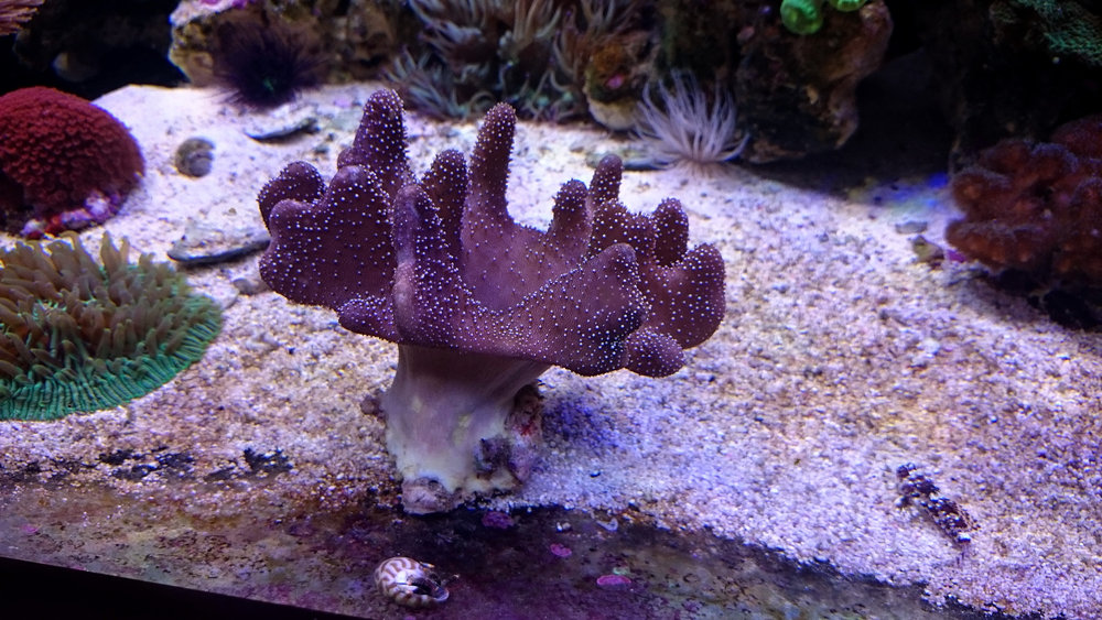 DSC_1024.JPG