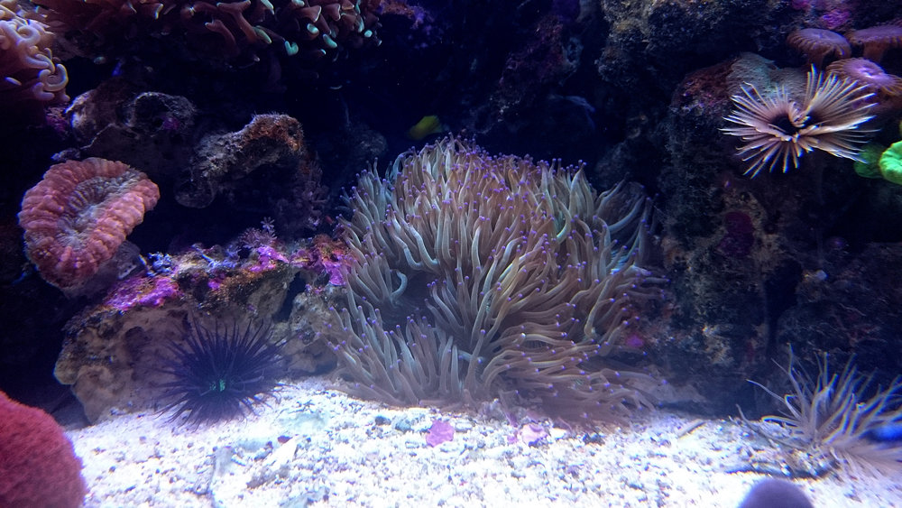 DSC_1046.JPG