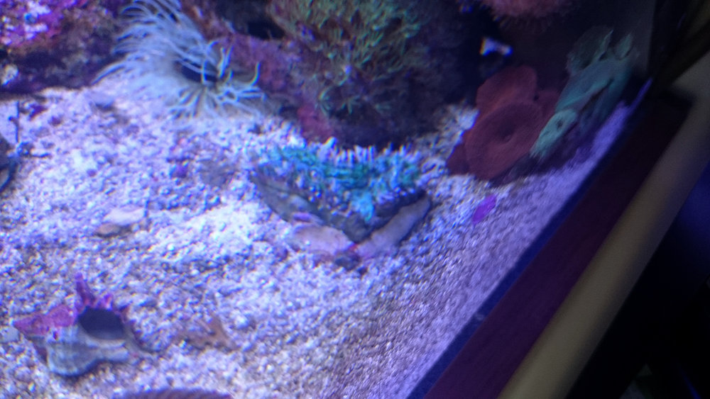 DSC_1041.JPG