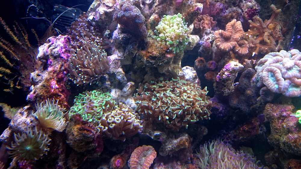 DSC_1044.JPG