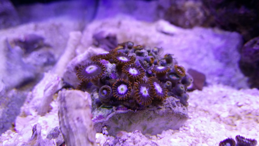 20160514_220410.jpg
