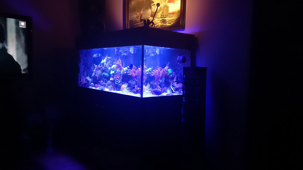 DSC_1053.JPG