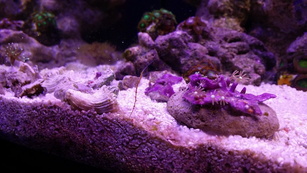 20160525_214213.jpg
