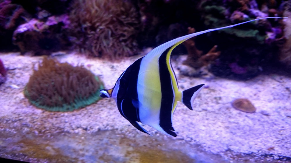 DSC_1102.JPG