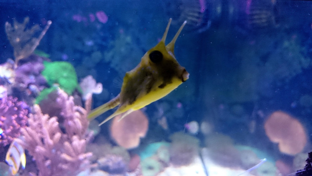 DSC_1103.JPG