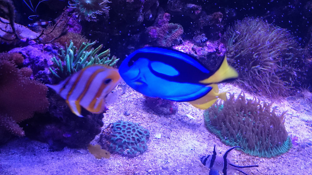 DSC_1114.JPG