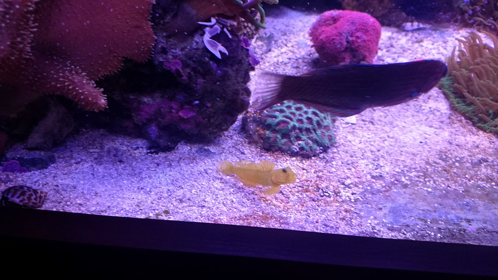 DSC_1115.JPG