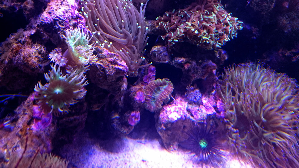 DSC_1123.JPG